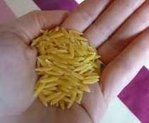 Avoine, petit pois, saucisse (Alpina)