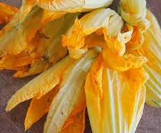 Beignets de fleurs de courgettes