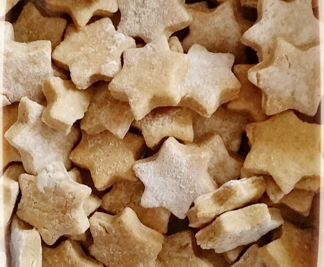 Biscuits pour chiens