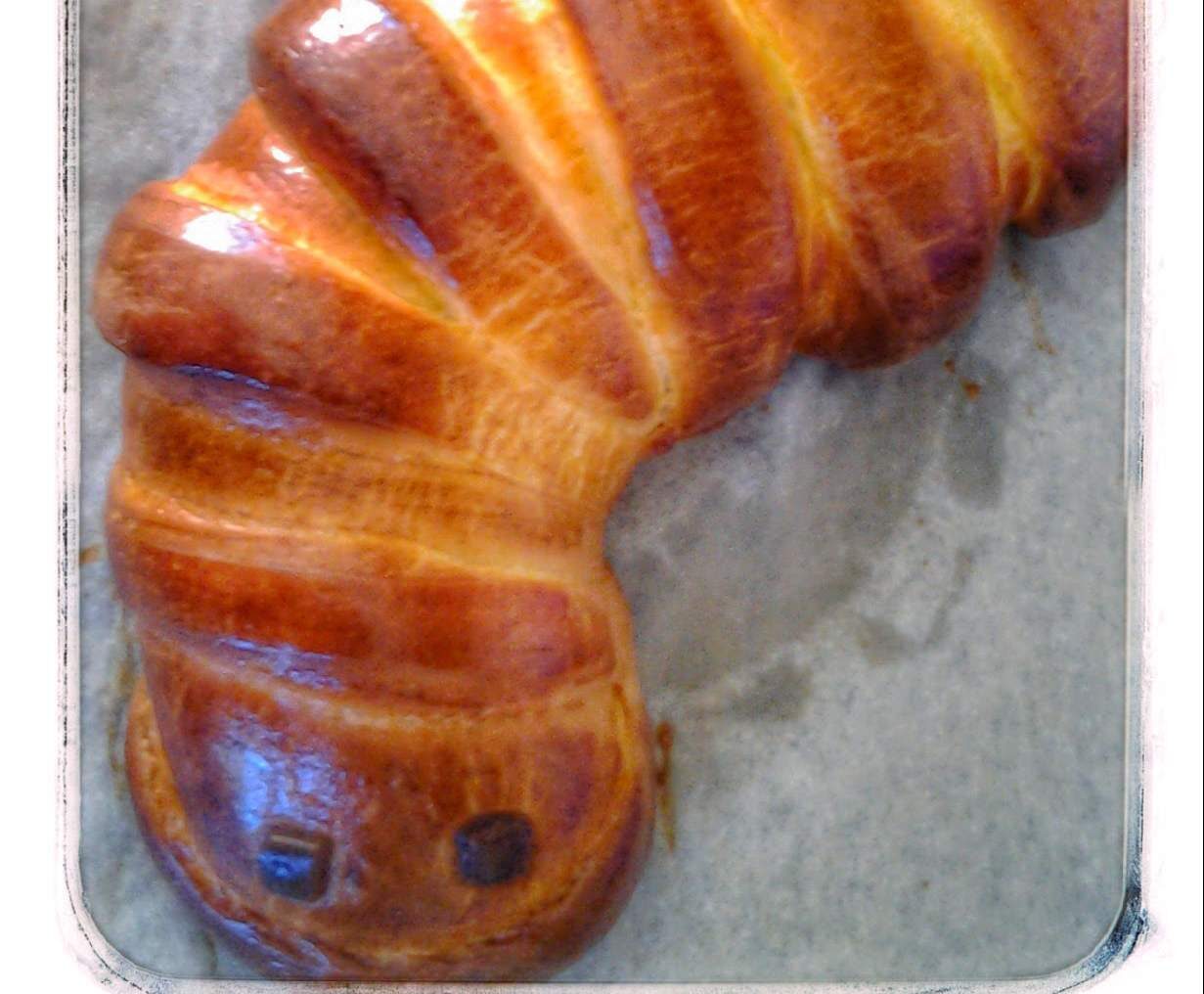 Brioche chenille (Douda briochée) au nutella