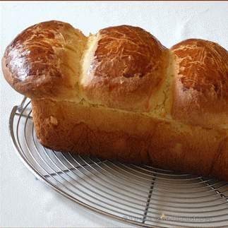 Brioche