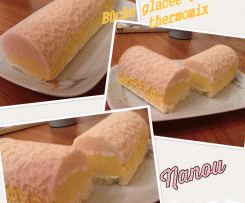 Bûche glacée exotique