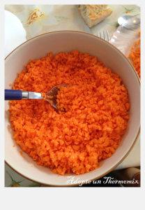 carottes rapées