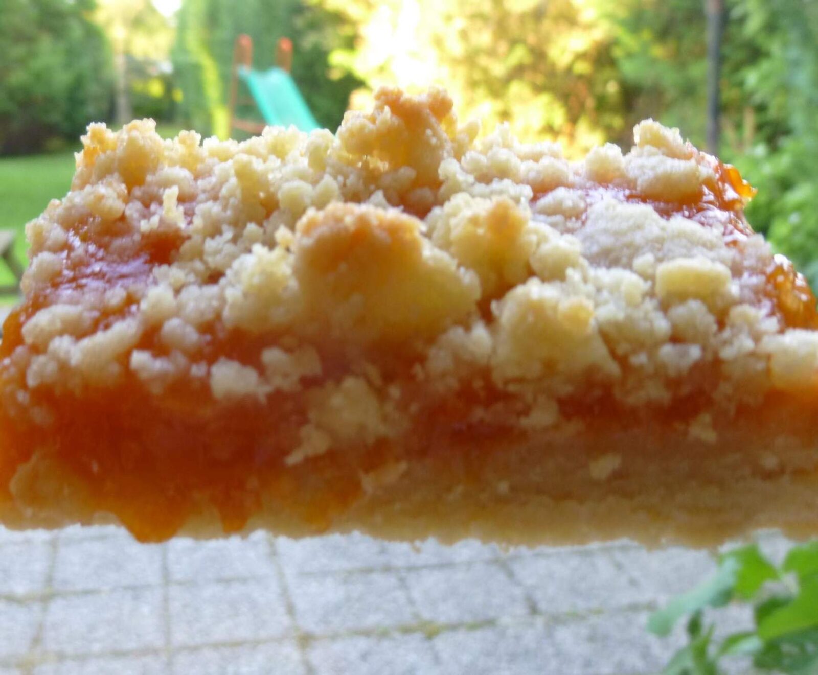 CARRES GOURMANDS AUX ABRICOTS