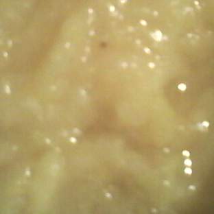 compote banane pomme orange