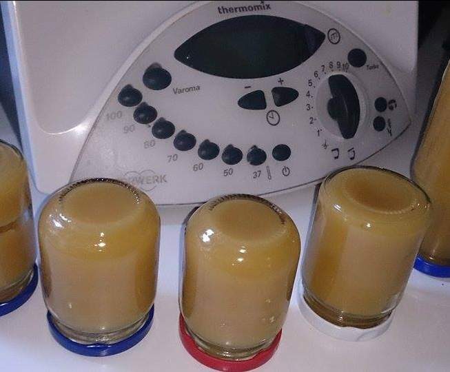 Compote de Pommes Xpress