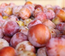 Compote pommes mirabelles pour bébé