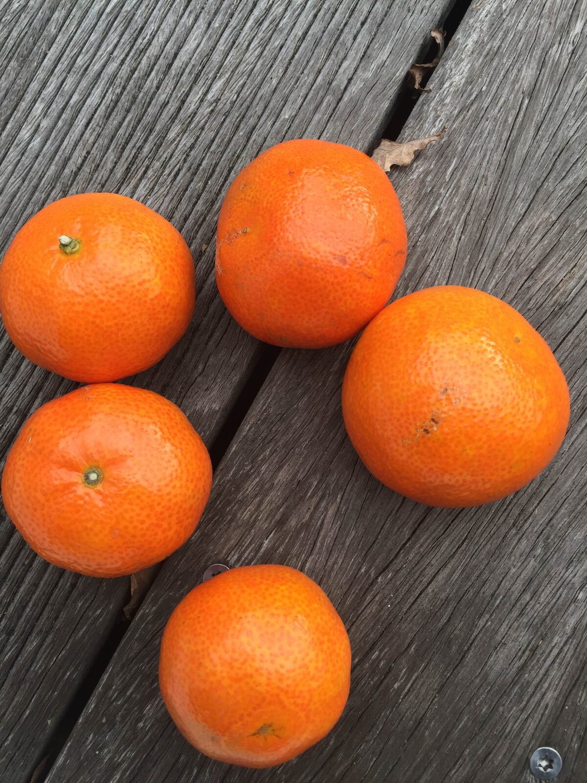 Confiture de Clèmentines
