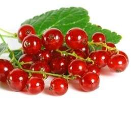 Confiture de Groseilles