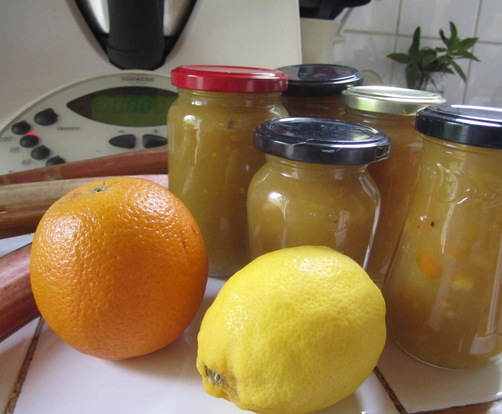Confiture de rhubarbe-citron-orange