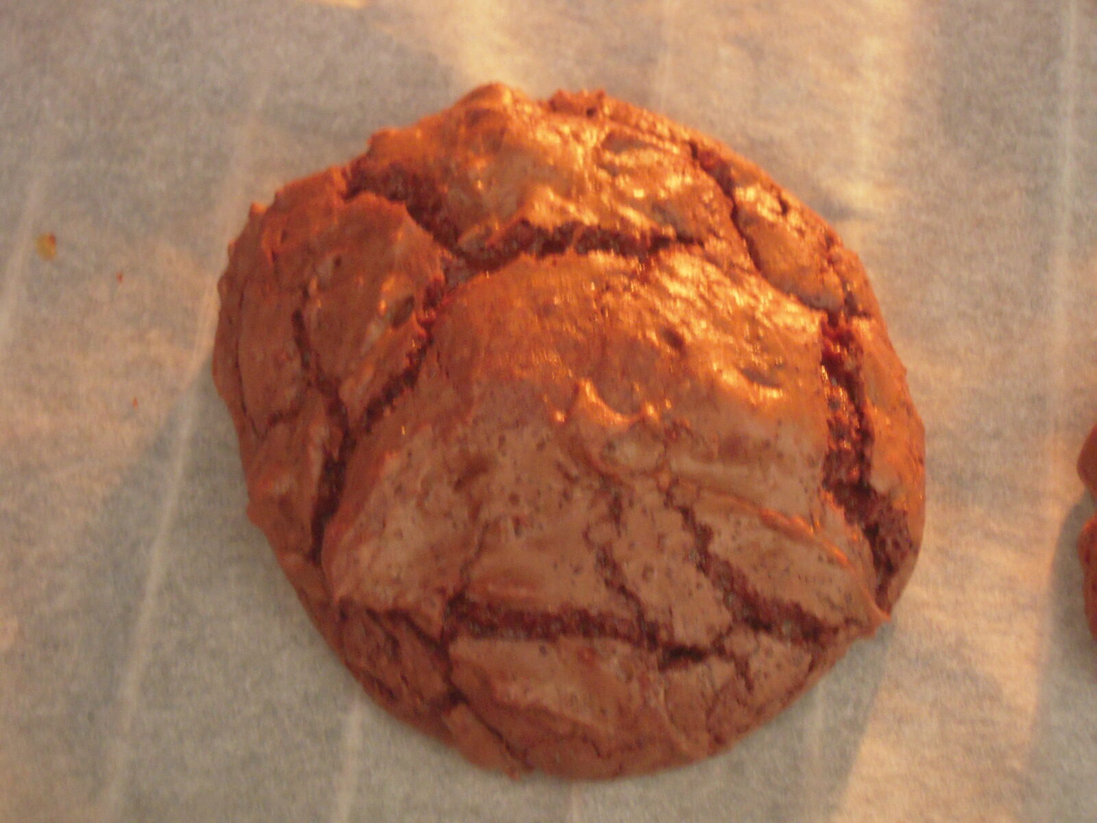 Cookies chocolat (outrageous façon Martha Stewart)