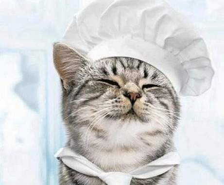 Crème au chocolat vegan