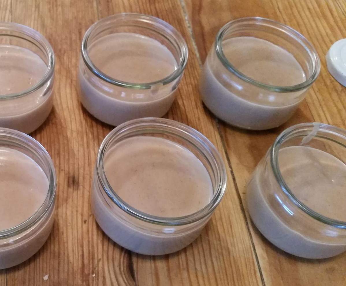 Crème dessert au choco prince 