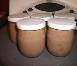 Crème dessert au chocolat praliné