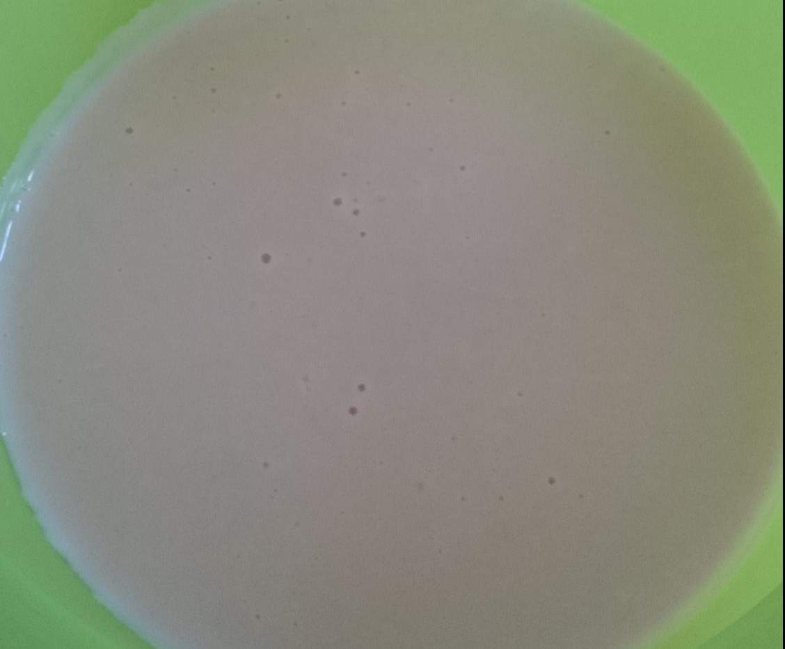 Crème dessert goût langue de chat