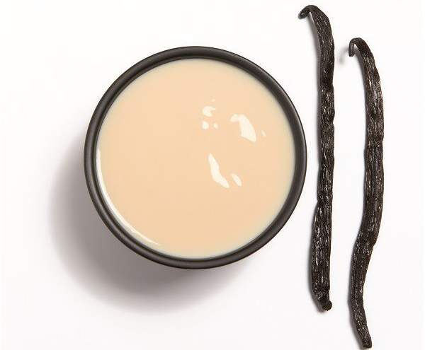 creme dessert vanille