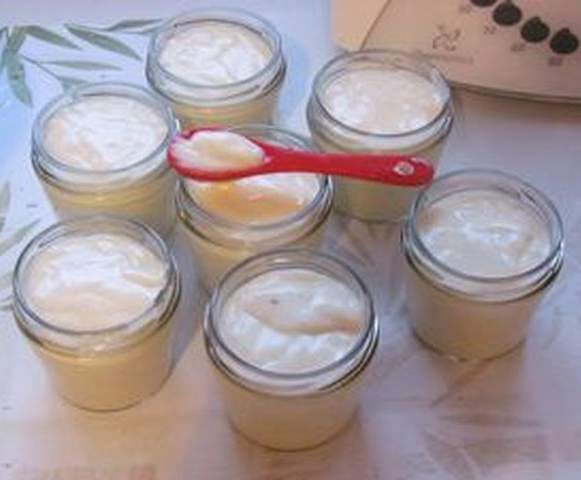 Crèmes « danette » vanille