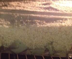 Crumble légumes d'hiver