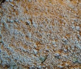 Crumble pommes rhubarbe noisettes