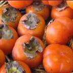 Dinde mijotée aux kakis