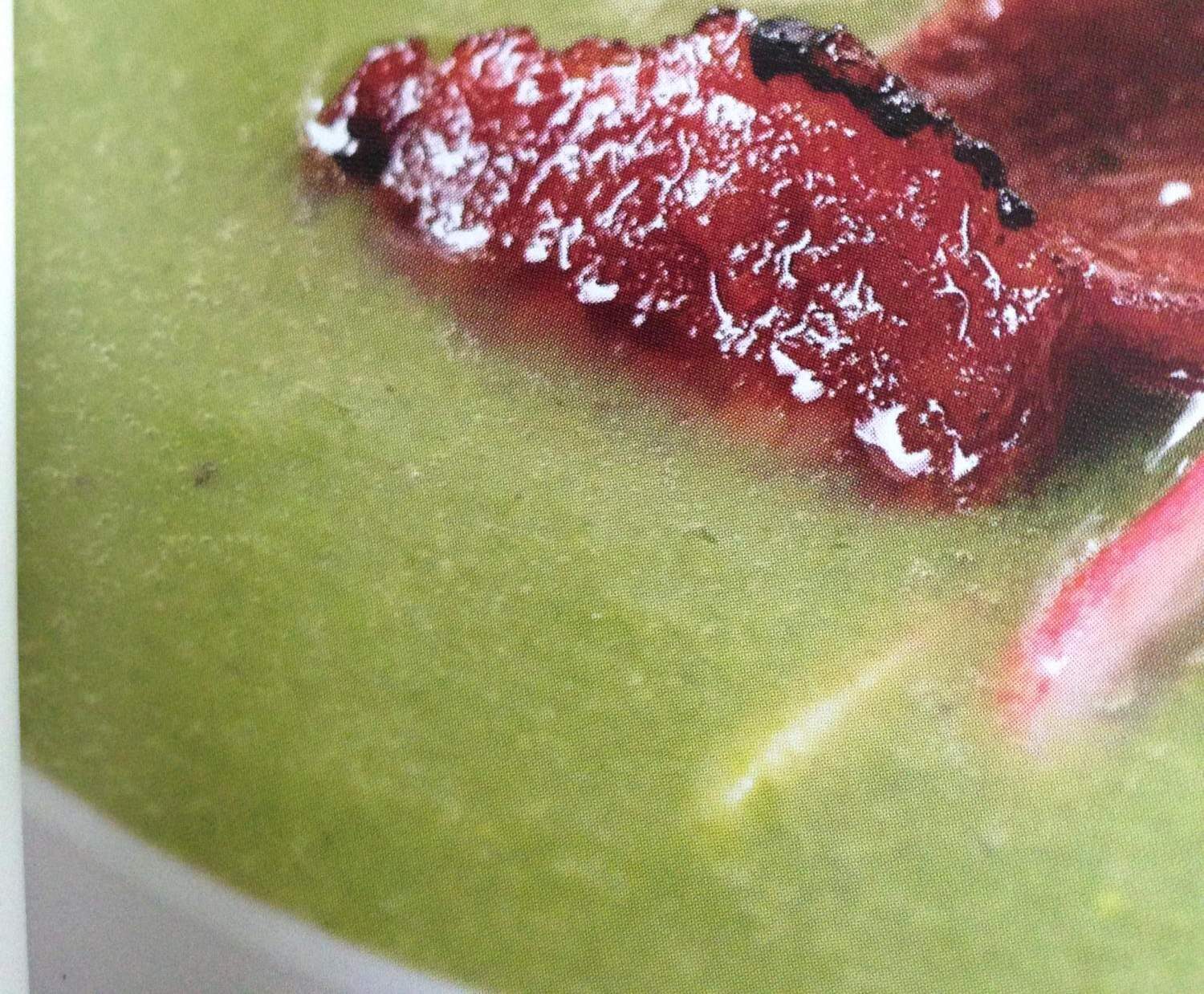 Fanes de radis en velouté et chorizo croustillant