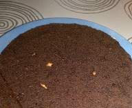 Fondant aux 3 chocolats