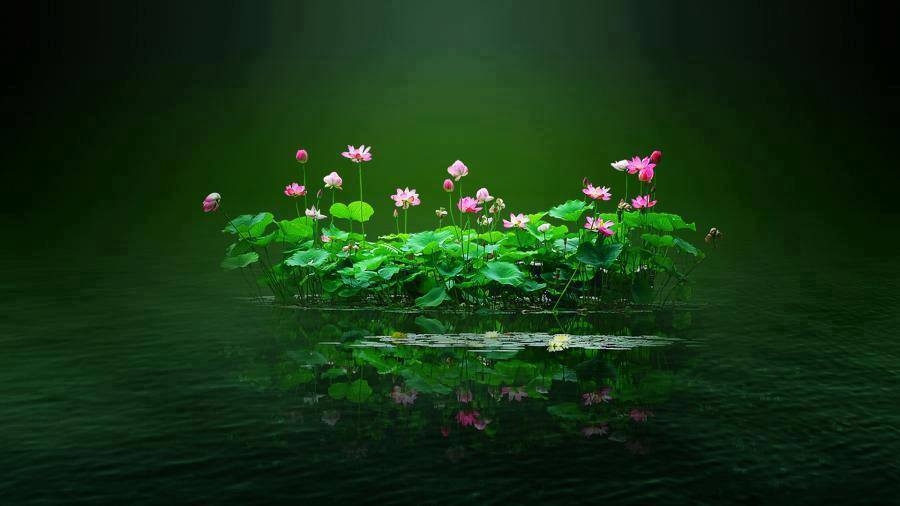 fruits confits a faire *longue conservation*