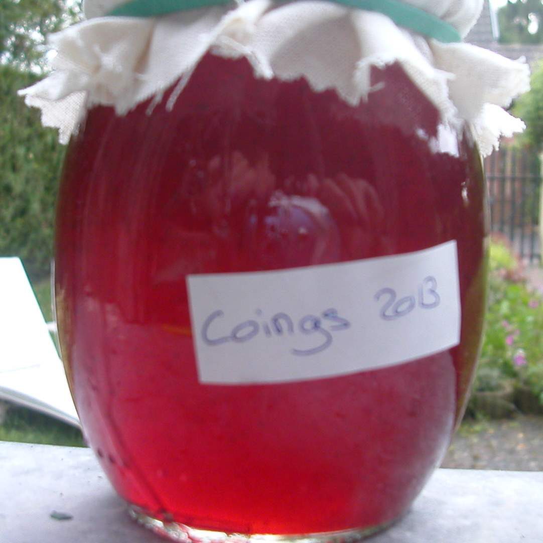 Gelée de coings à la vanille