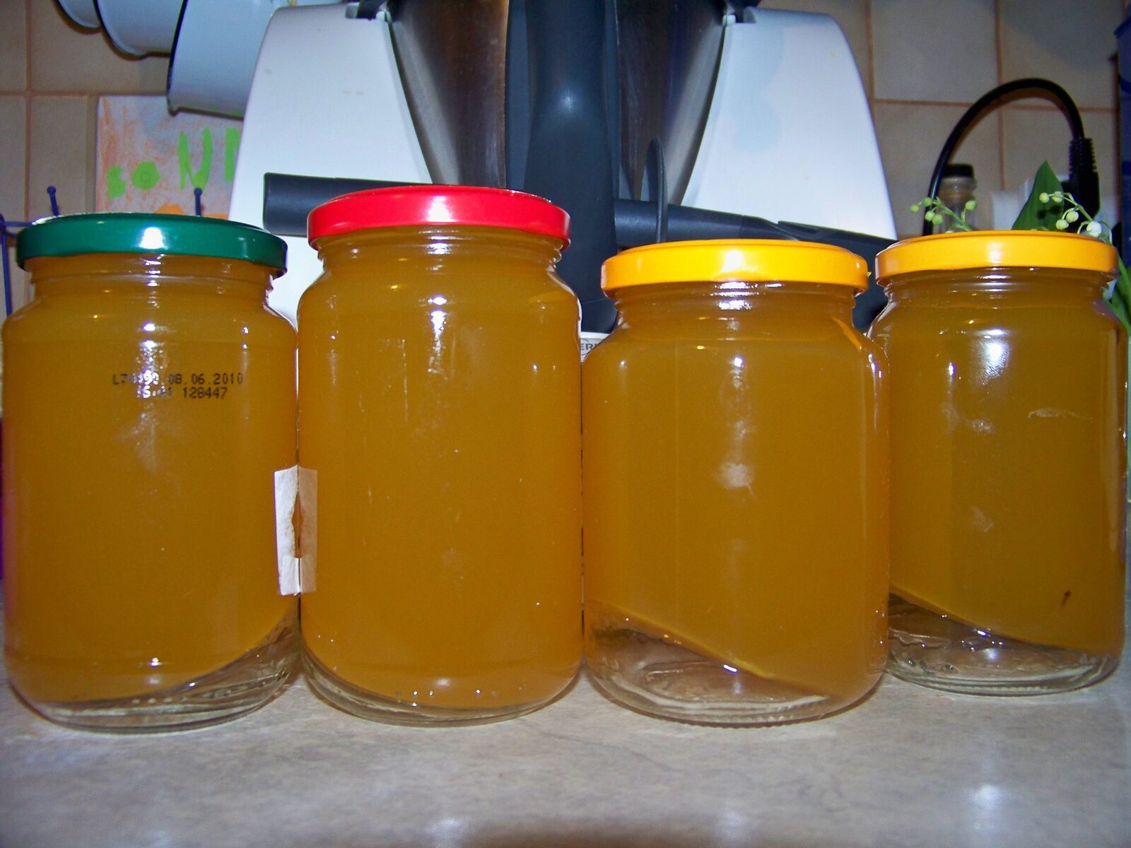 Gelée de pissenlit ou cramaillotte