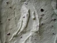 glace menthe chocolat