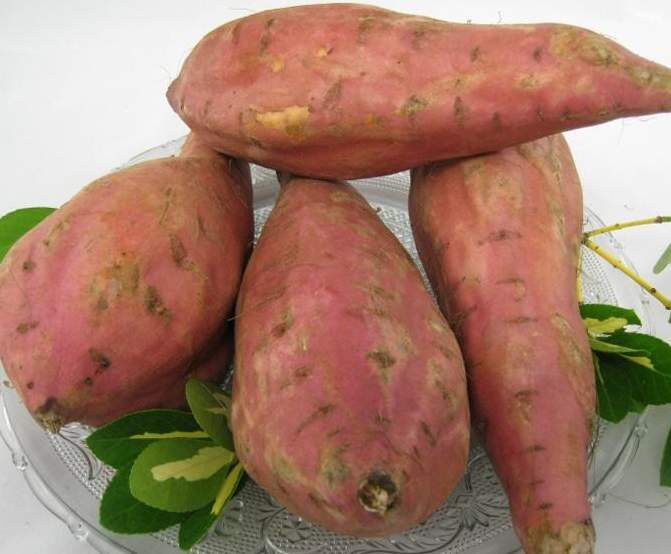 Hachi parmentier de patate douce