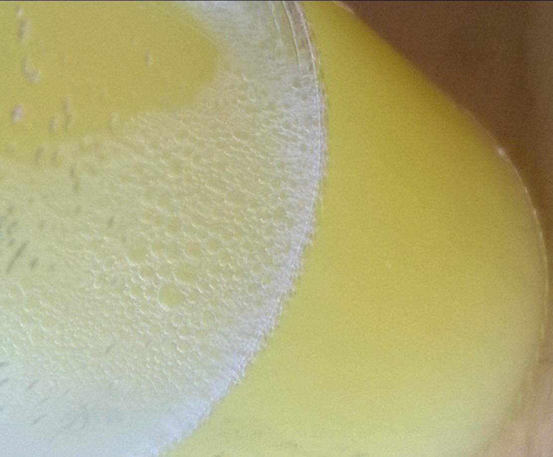 Jus de pommes pasteurisé