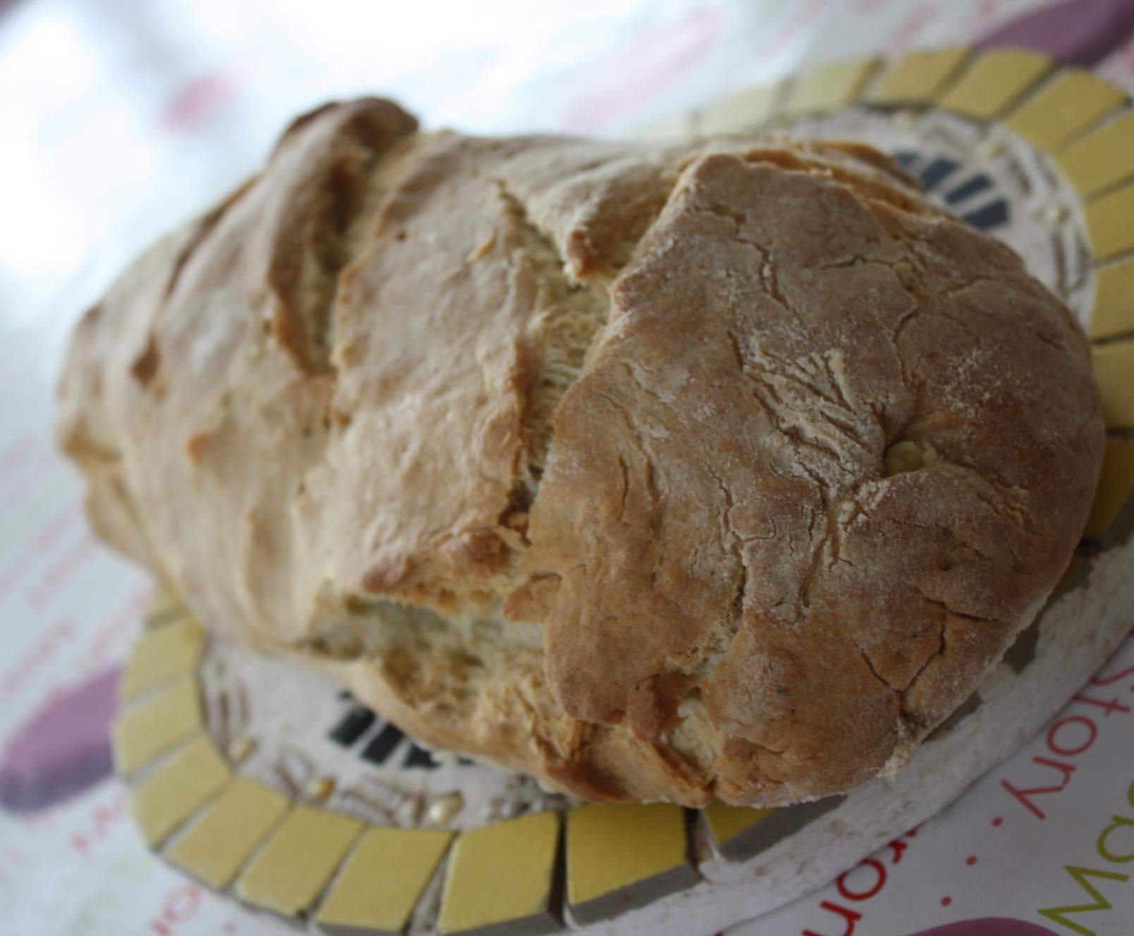 La mérisse de l'île