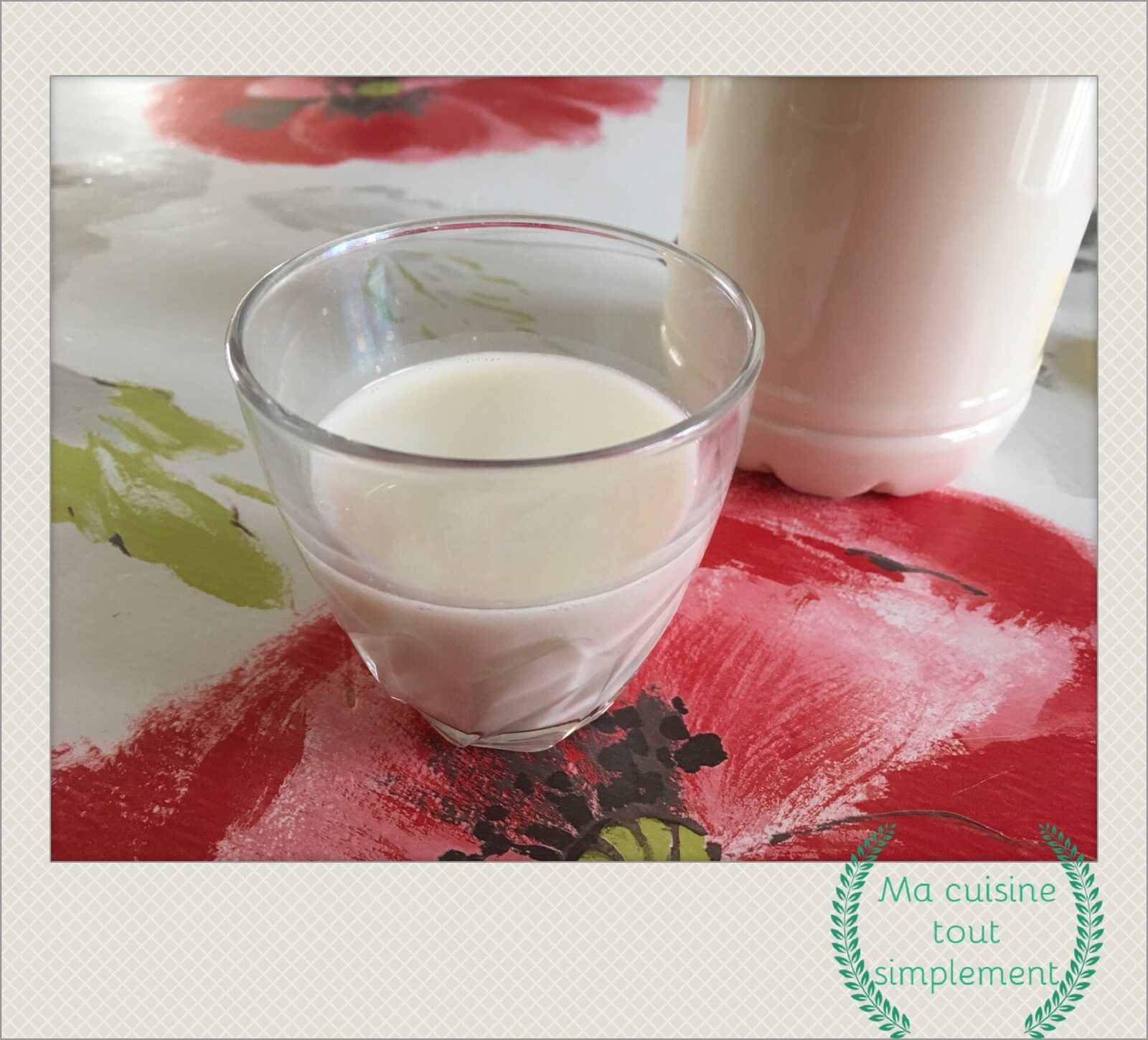 Lait végétal de souchet (horchata de chufa)
