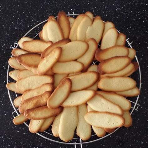 Langues de chat