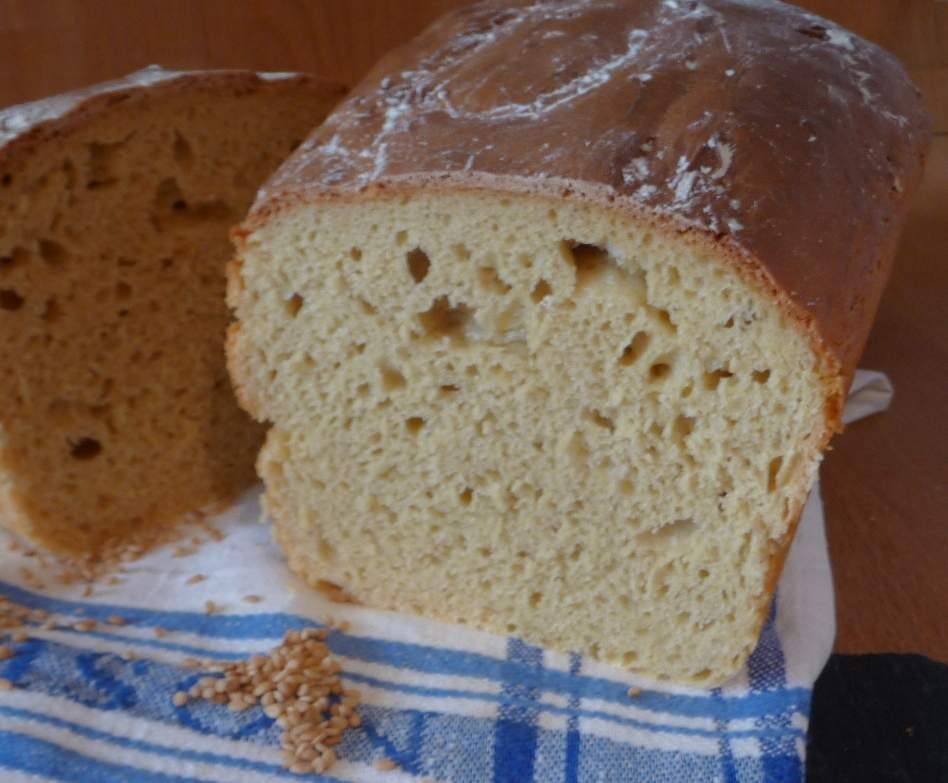 LE PAIN 100% PETIT EPEAUTRE