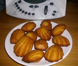 Madeleine du Château de la Ferté Saint Aubin (45 - LOIRET)