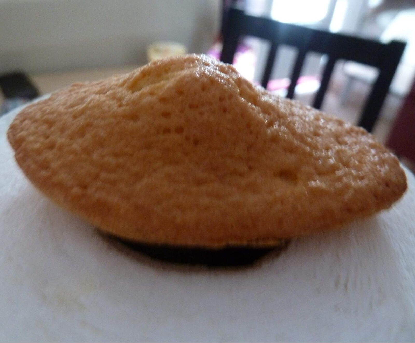 Madeleines