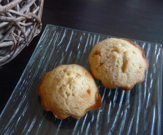 Magdalenas / madeleines espagnoles