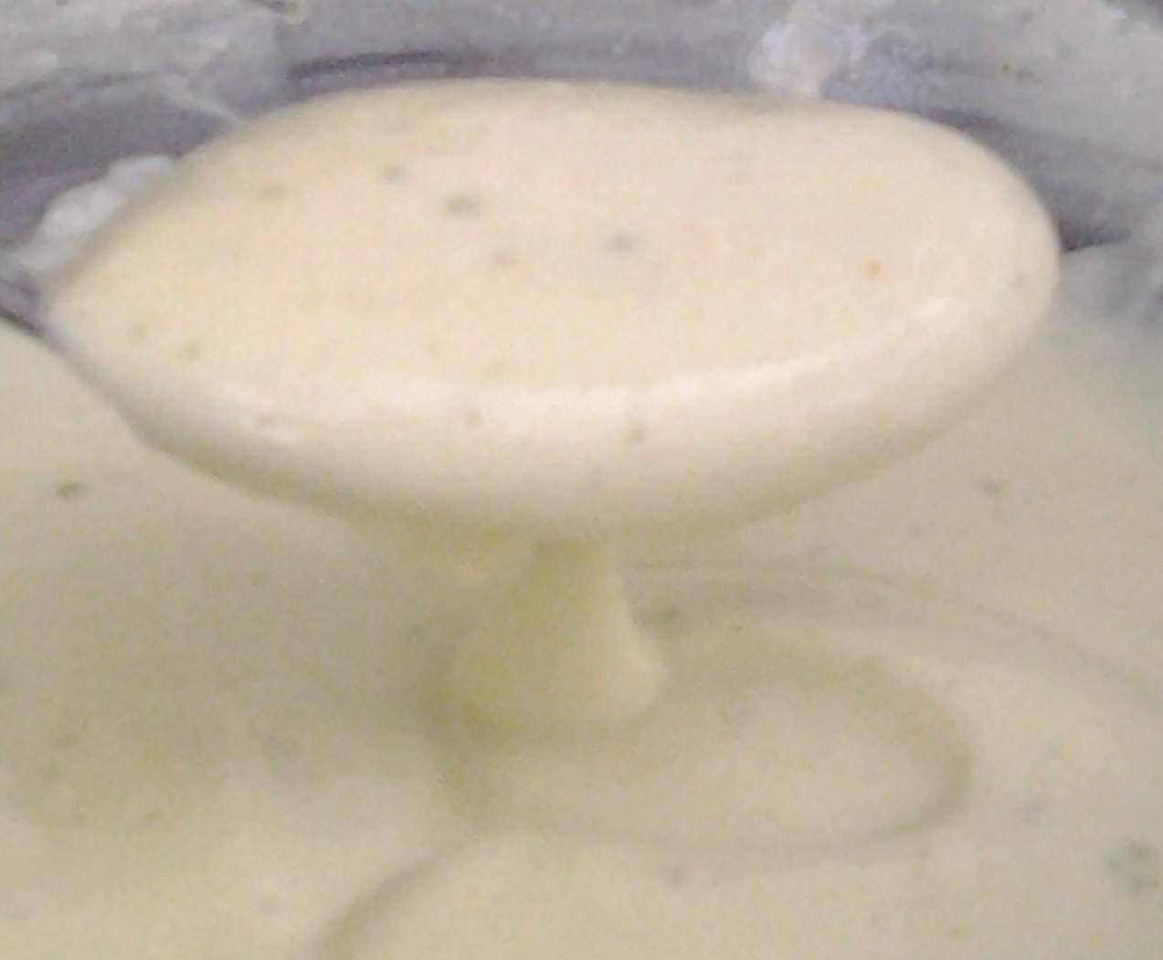 Mayonnaise sans oeuf