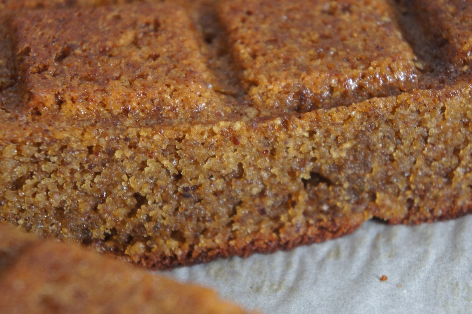 Moelleux (délicieux) aux noisettes!