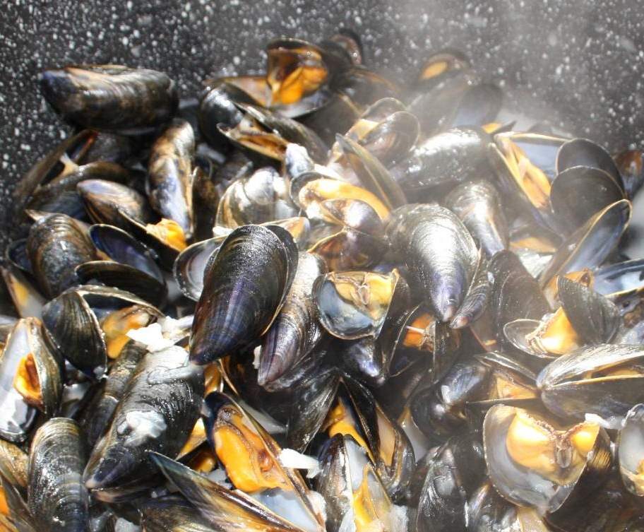 MOULES MARINIERES
