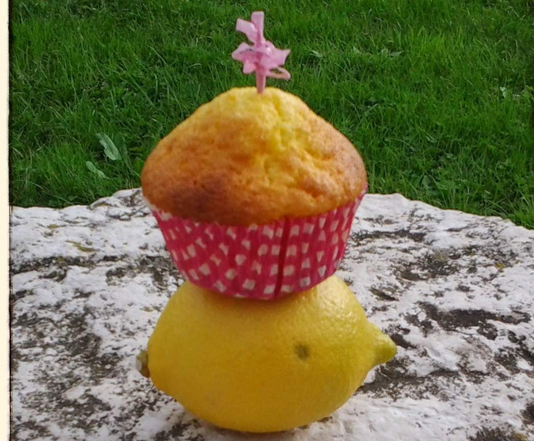 Muffin aux citrons