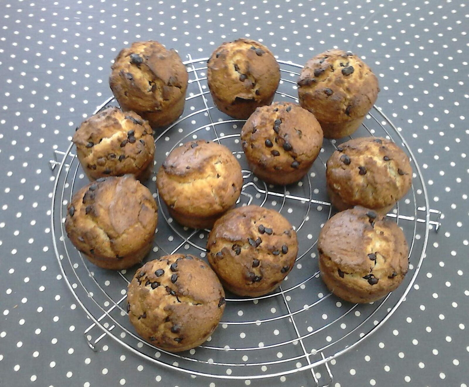 muffins chocolats noisettes