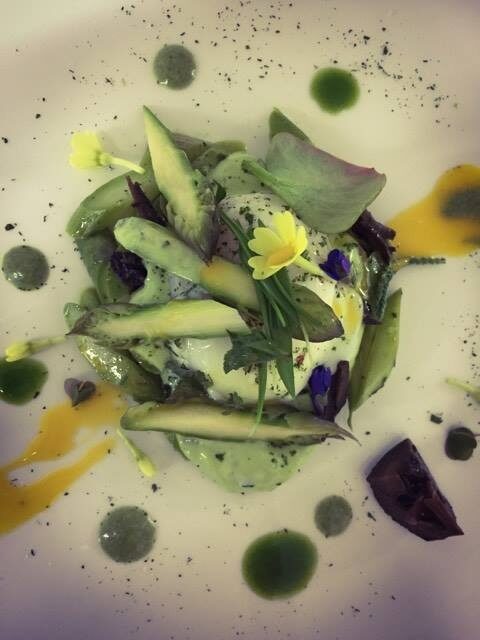 Oeuf Parfait en Forêt