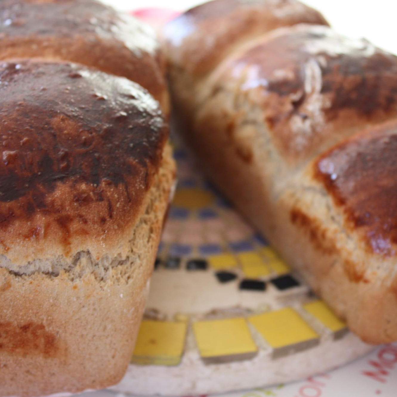 Pain brioché complet