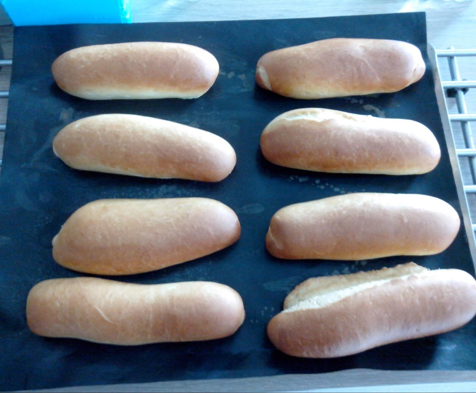 pain pour hot dog ou hamburger