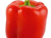 Pain vapeur et crème de poivrons