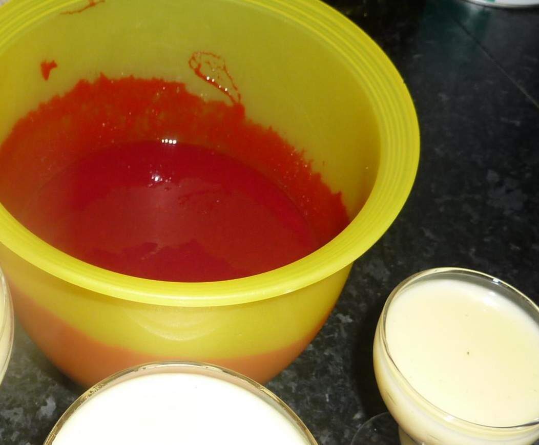 panacotta au coulis de framboises