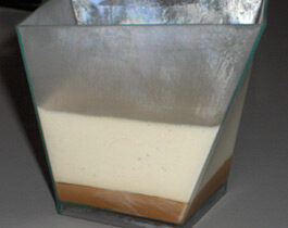 Panacotta vanille et sauce carambar